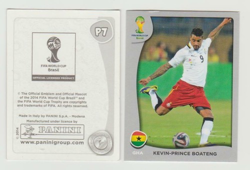 Panini 2014 swiss - wm,