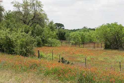 Photo gonzales county - photo:gonzales,