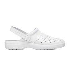 Arbeitsclogs, Berufsschuhe