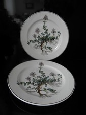 2 Kuchenteller Villeroy & Boch