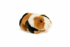 Plüschtier meerschweinchen - ,