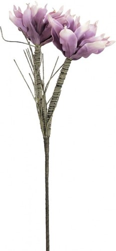 Europalms magnolienzweig - europalms,
