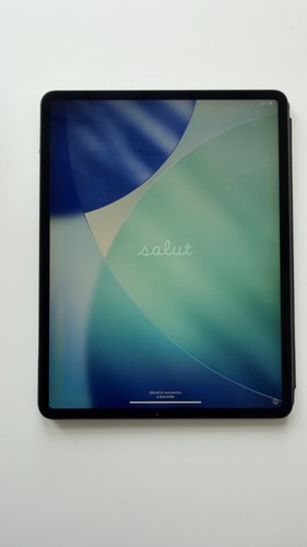Apple ipad pro zoll 4 - apple,