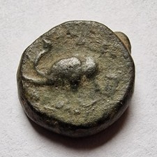 Ancient Greek Coin, Seleucid
