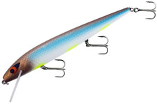 Smithwick Perfect 10 Rogue, 14