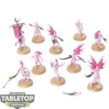 Hedonites slaanesh 10x - hedonites,