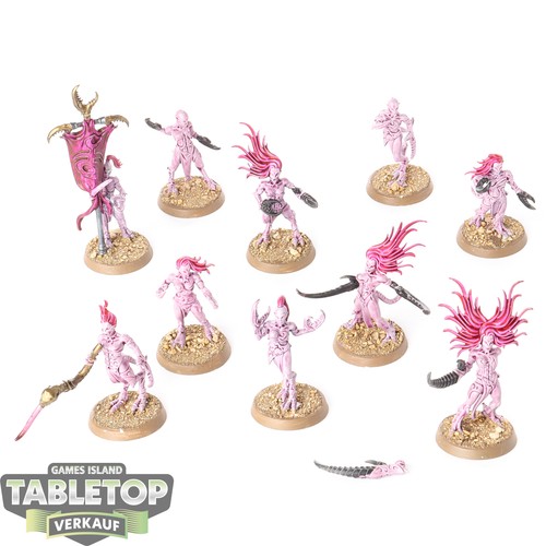 Hedonites slaanesh 10x - hedonites,