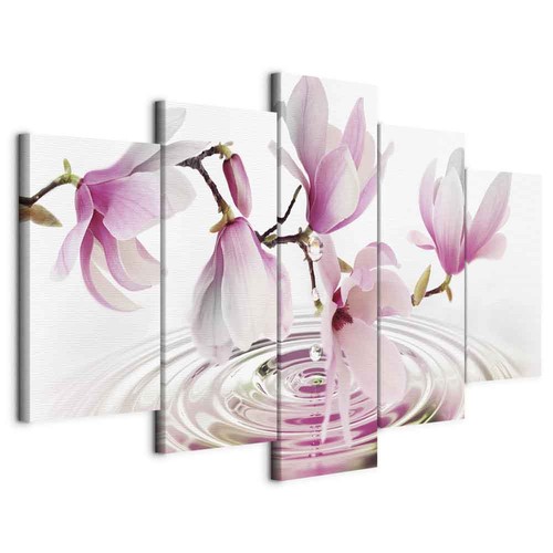 Bild magnolien am - bild,