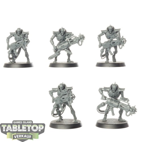 Necrons immortals - x,