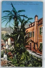 50524841 - Grava Palmen Alessandria