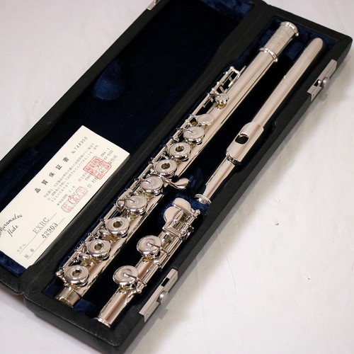Muramatsu silver - rc,