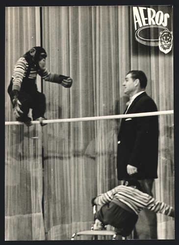 Fotografie karl leher berlin - karl, leher,