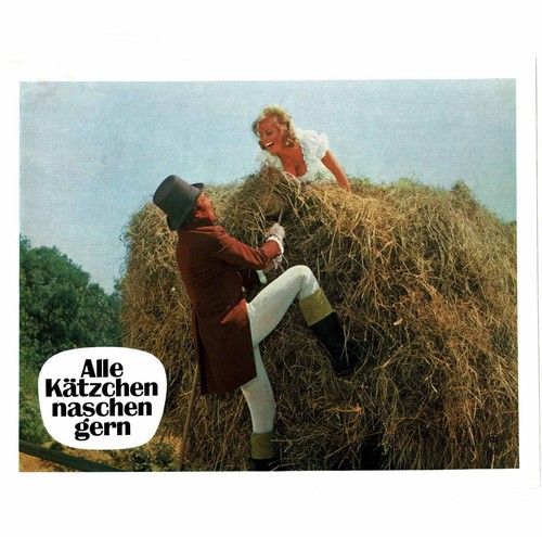 Alle kätzchen naschen gern - naschen,
