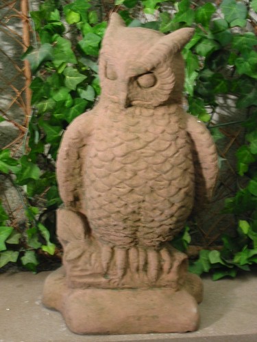 Eule uhu kauz - uhu,
