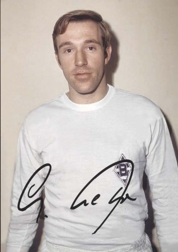 Günter netzer original - ,