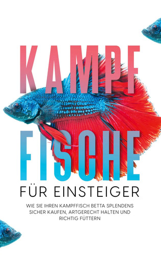Kampffische für einsteiger - für,