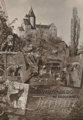 Schwarzenberg erzgebirge - ak,