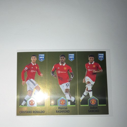 Panini fifa 365 manchester - panini,