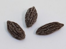 Hartriegel, Mastixia