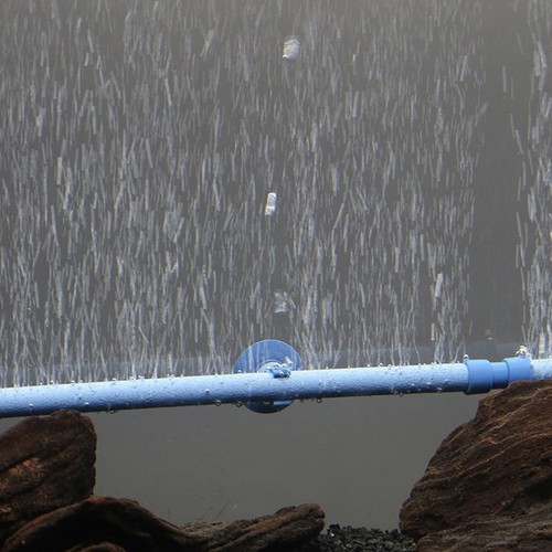 Fisch tank luftblase - *fisch,