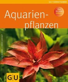 Aquarienpflanzen plus - aquarienpflanzen:,