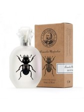 Captain Fawcett Alessandro