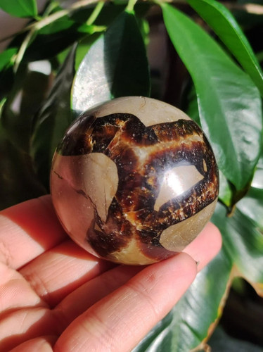 Septarie magische edelstein - septarie,