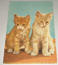 Alte 70er Jahre Katzen Zoecke