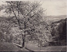 *** PAUL W. JOHN *** ORIGINAL