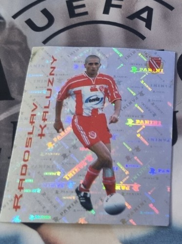 Radoslav kaluzny 083 - 083, panini