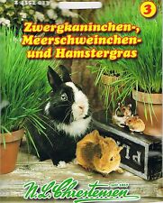 Zwergkaninchengras Meerschweinchengras und Hamstergras  24352013