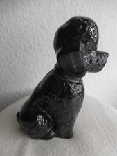 Spardose  schwarzer Pudel  mit Schloss - der Schlüssel fehlt !!   ca. 17 cm