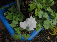 Drachen - Kopf  aus  Porzellan  weiss  -  ca. 10,5  x  12,5 cm