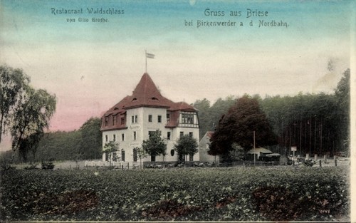 Briese birkenwerder im - ak,