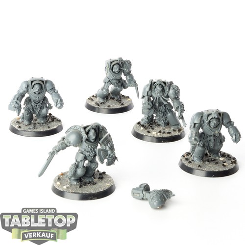 Space wolves x wolf guard - wolves,