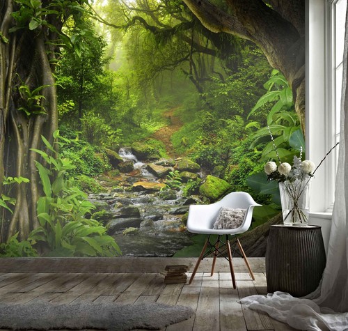 Wald tropischer regenwald - wald,
