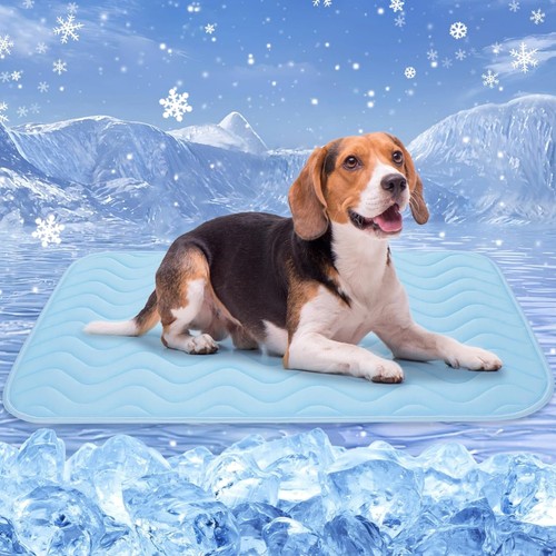 Hund kühldecke - hund,