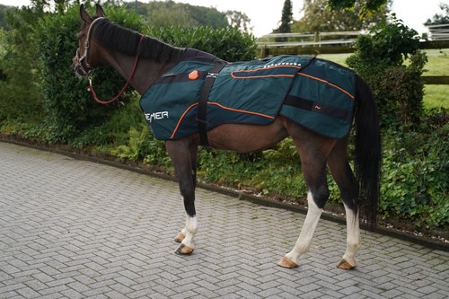 Bemer horse set selten benutzt - bemer,