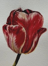Kunst Aquarellgemälde Malerei