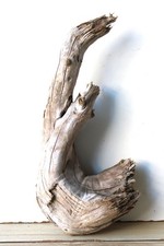 Treibholz Schwemmholz