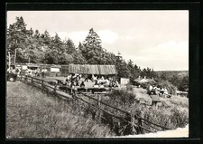 Ansichtskarte Friesdorf Kr