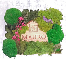 Moosbild auf Holzdeckel einer