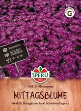 MITTAGSBLUME  Sperlies  Blütenmeer Steingärten Mauern  ca. 45 Samen