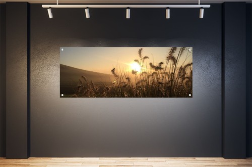 Wandbilder poster bilder xxl - wandbilder,