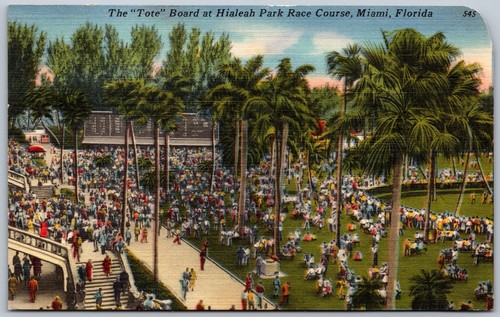 Postcard miami florida c1956 - postcard,