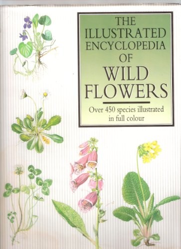 The illustrated encyclopedia - the,