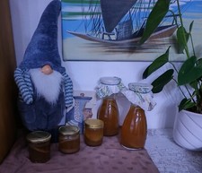 Bio Kombucha vom Bodensee 25 g - spritzig, stärkt den Körper und den Geldbeutel 