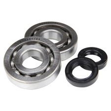 Kurbelwellenlager Satz + Simmerringe für Piaggio NRG MC2 MC3 Extreme / Sfera TPH