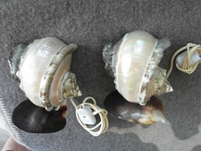 2x Tischlampen, echte Muschel, indische Ozean,  sehr Dekorativ, gebr. Zustand,
