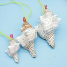 Natürlich Muschel Horn Pfeife Gehäuse See Snail Kinder Toy Neuheit Gift Chic Süß